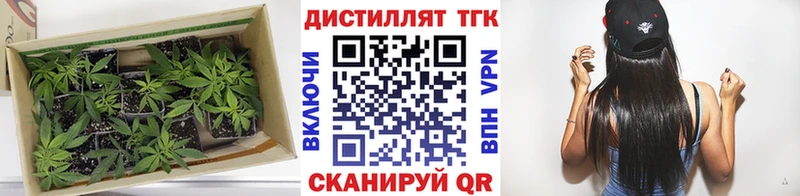 Дистиллят ТГК Wax  Вилючинск 