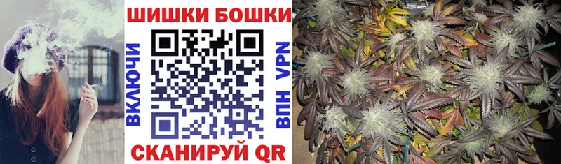 купить закладку  Вилючинск  ссылка на мегу зеркало  Марихуана сатива 